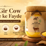 A2 Gir Cow Ghee के फायदे: Bilona Ghee क्यों होता है special? | Maati Ghee